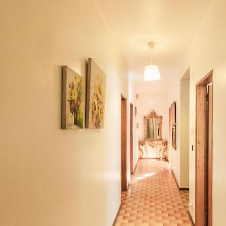 Beach Avenue Apartment Ferrel  Ngoại thất bức ảnh